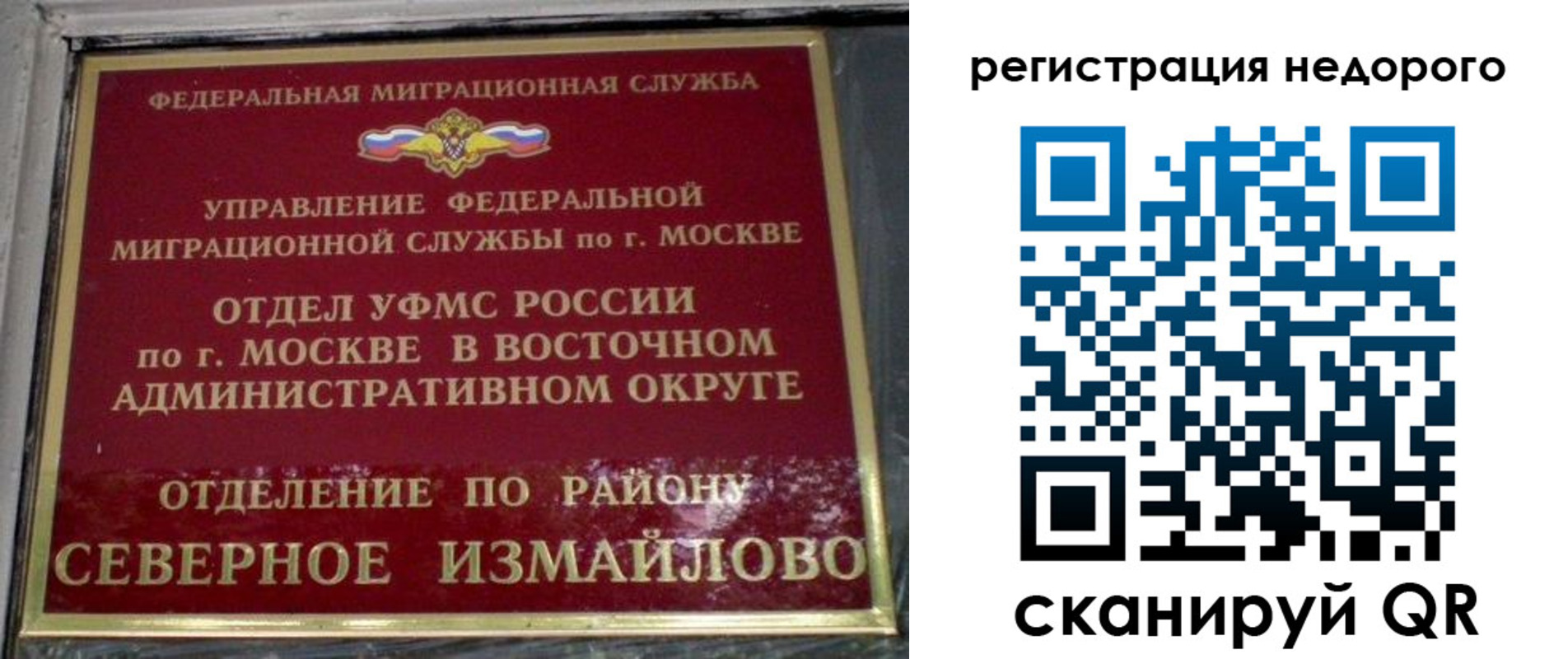 прописка в квартире в Лосино-Петровском