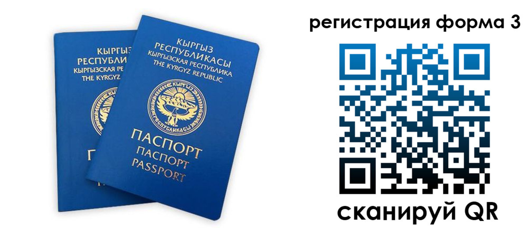 временная регистрация госуслуги в Лосино-Петровском